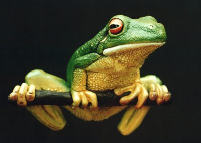 Frog - Natalie Staniforth